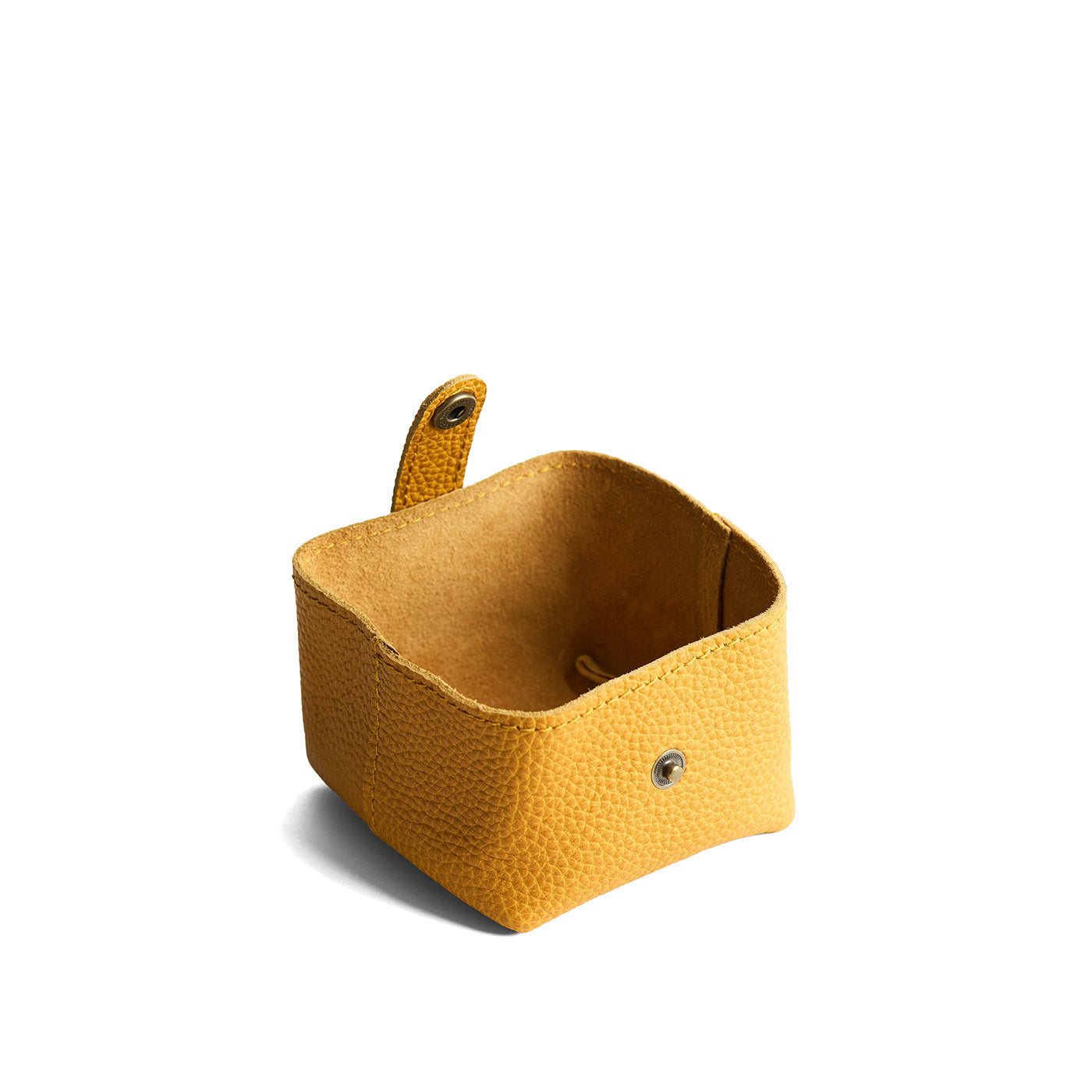 'Almost Perfect' Howler Pouch