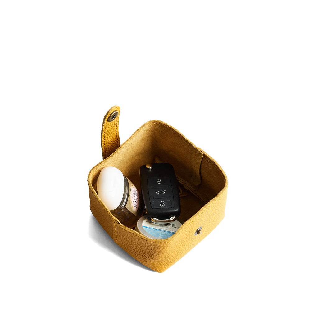 'Almost Perfect' Howler Pouch