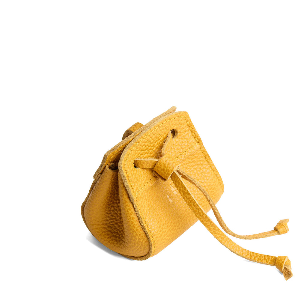 'Almost Perfect' Pixie Pouch