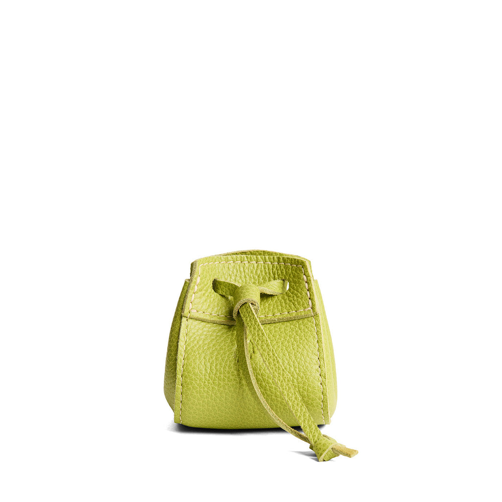 'Almost Perfect' Pixie Pouch